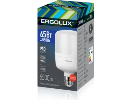 Светодиодная лампа ERGOLIX LED65/845/E27